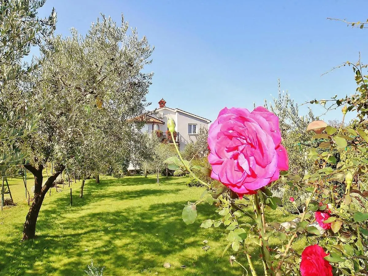 Apartments Durda Fazana 3*,